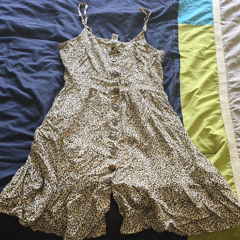 Japna Leopard Print Mini Dress